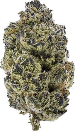 Double Fudge Cookies